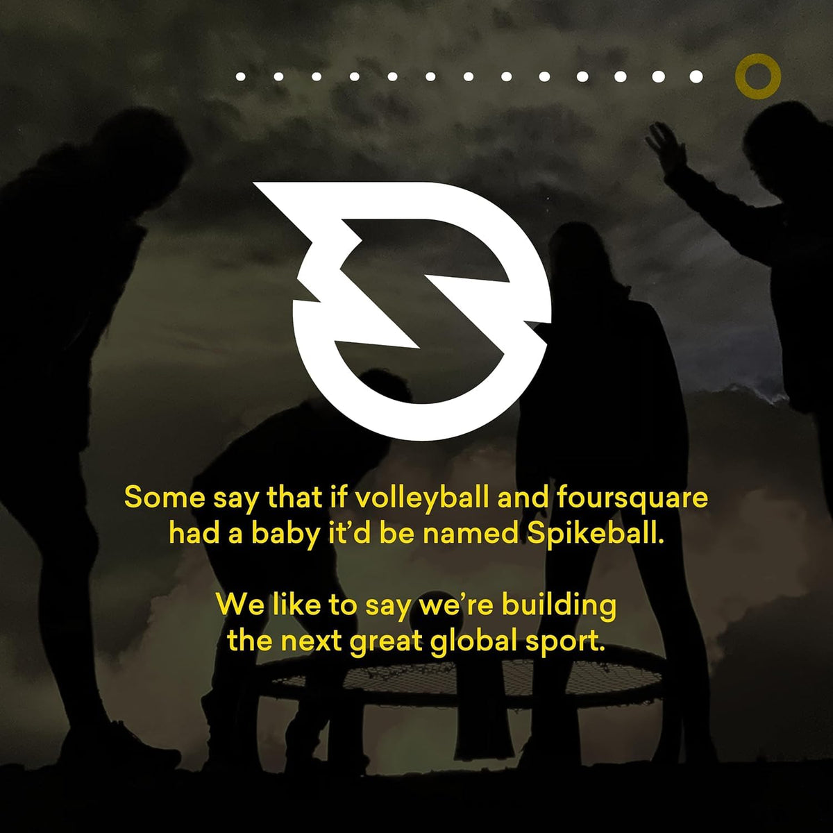 Spikeball Pro Kit (Tournament Edition)